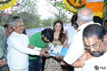 Bengal Tiger Movie Opening